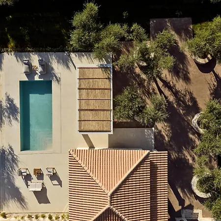 Conte Maris Vi טרגקי